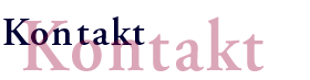 Kontakt